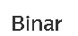 Компания "Binar"